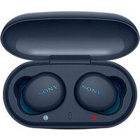 БЕСПРОВОДНЫЕ НАУШНИКИ SONY WF-XB700L купить в официальном интернет-магазине Sony в Москве