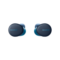 БЕСПРОВОДНЫЕ НАУШНИКИ SONY WF-XB700L купить в официальном интернет-магазине Sony в Москве