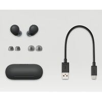 SONY WF-C700N НАУШНИКИ TWS, ЧЁРНЫЕ купить в официальном интернет-магазине Sony в Москве