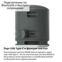 SONY SRS-XB100 БЕСПРОВОДНАЯ КОЛОНКА 10 ВТ, ОРАНЖЕВАЯ купить в официальном интернет-магазине Sony в Москве