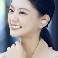 SONY WF-1000XM5 НАУШНИКИ TWS, СЕРЕБРИСТЫЕ купить в официальном интернет-магазине Sony в Москве
