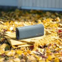 SONY ULT FIELD 3 (SRS-ULT30) БЕСПРОВОДНАЯ КОЛОНКА 40 ВТ, СЕРАЯ купить в официальном интернет-магазине Sony в Москве