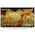 SONY BRAVIA XR-55X90L ТЕЛЕВИЗОР 4K UHD, МАЛАЙЗИЯ купить в официальном интернет-магазине Sony в Москве