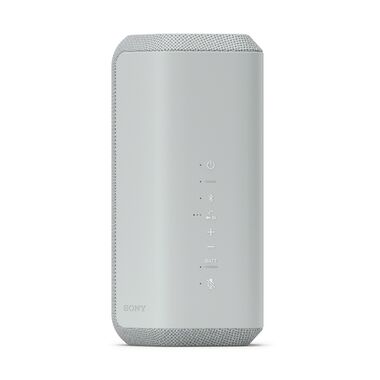 SONY SRS-XE300 БЕСПРОВОДНАЯ КОЛОНКА 30 ВТ, СЕРАЯ купить в официальном интернет-магазине Sony в Москве