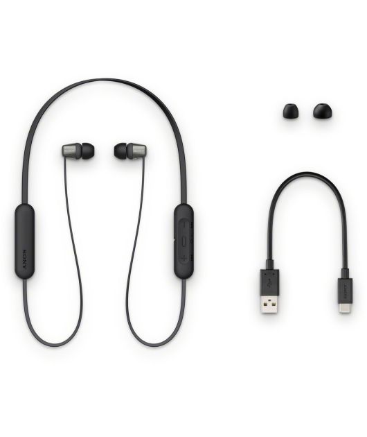 БЕСПРОВОДНЫЕ НАУШНИКИ SONY WI-C310B купить в официальном интернет-магазине Sony в Москве