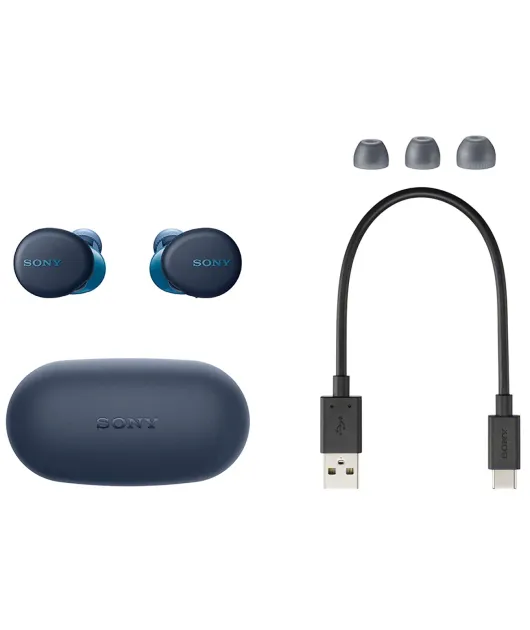 БЕСПРОВОДНЫЕ НАУШНИКИ SONY WF-XB700L купить в официальном интернет-магазине Sony в Москве