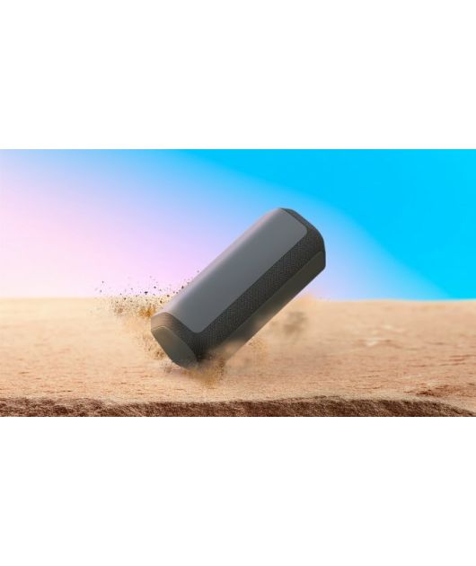 SONY SRS-XE300 БЕСПРОВОДНАЯ КОЛОНКА 30 ВТ, ЧЁРНАЯ купить в официальном интернет-магазине Sony в Москве