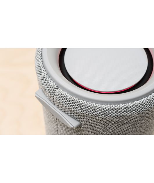 SONY SRS-XG300 БЕСПРОВОДНАЯ КОЛОНКА 40 ВТ, СЕРАЯ купить в официальном интернет-магазине Sony в Москве