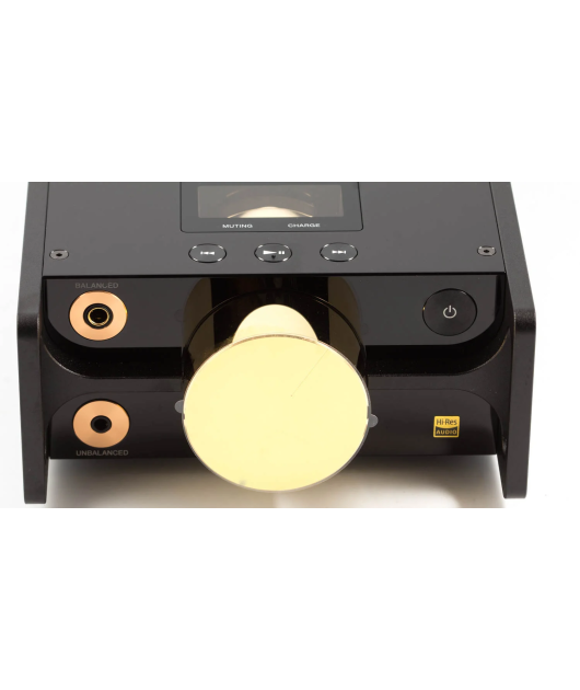 SONY DMP-Z1 256 GB АВТОРСКАЯ СЕРИЯ ЦИФРОВЫХ МУЗЫКАЛЬНЫХ ПЛЕЕРОВ купить в официальном интернет-магазине Sony в Москве