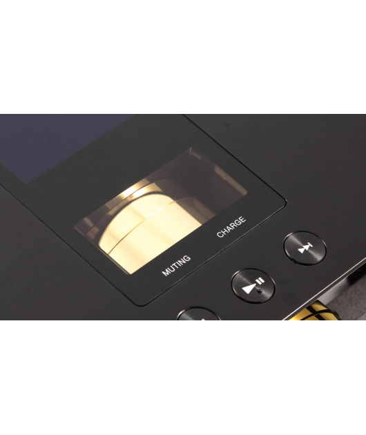 SONY DMP-Z1 256 GB АВТОРСКАЯ СЕРИЯ ЦИФРОВЫХ МУЗЫКАЛЬНЫХ ПЛЕЕРОВ купить в официальном интернет-магазине Sony в Москве