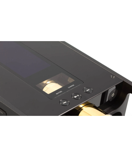 SONY DMP-Z1 256 GB АВТОРСКАЯ СЕРИЯ ЦИФРОВЫХ МУЗЫКАЛЬНЫХ ПЛЕЕРОВ купить в официальном интернет-магазине Sony в Москве
