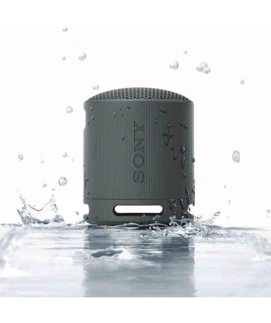 SONY SRS-XB100 БЕСПРОВОДНАЯ КОЛОНКА 10 ВТ, ЧЁРНАЯ купить в официальном интернет-магазине Sony в Москве