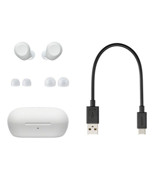 SONY WF-C710N НАУШНИКИ TWS, БЕЛЫЕ купить в официальном интернет-магазине Sony в Москве