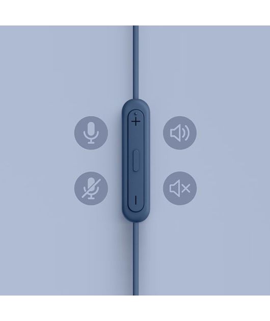 SONY IER-EX15C НАУШНИКИ С USB TYPE-C, СИНИЕ купить в официальном интернет-магазине Sony в Москве