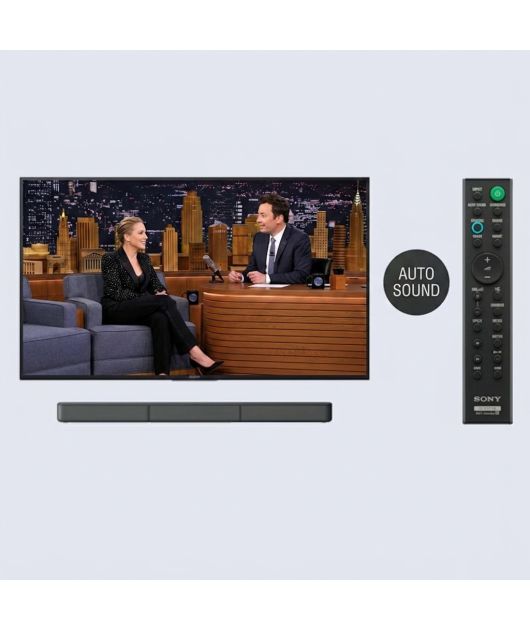 SONY HT-S20R САУНДБАР 5.1 С BLUETOOTH купить в официальном интернет-магазине Sony в Москве